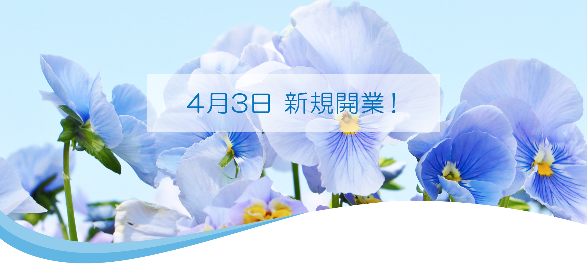 4月1日・2日 内覧会予定、4月3日 新規開業！