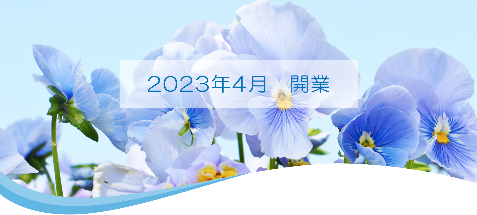 2023年4月 開業